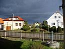 Třibřichy